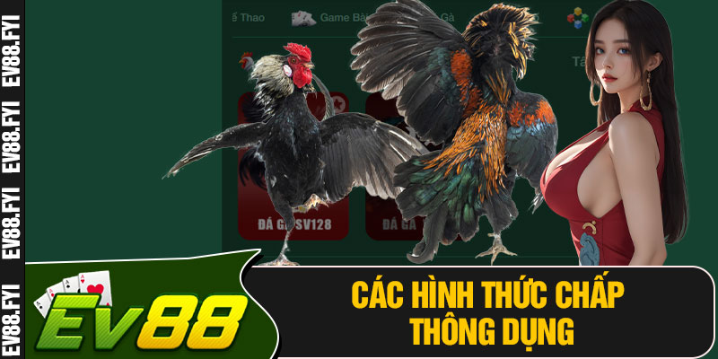Các Hình Thức Chấp Thông Dụng
