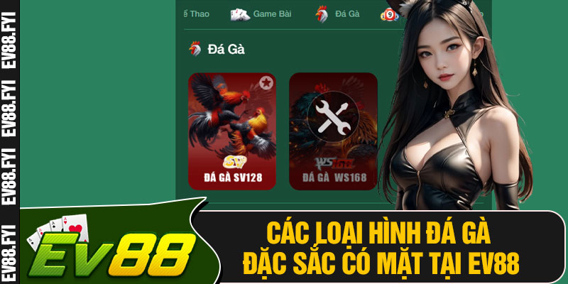 Các Loại Hình Đá Gà Đặc Sắc Có Mặt Tại EV88