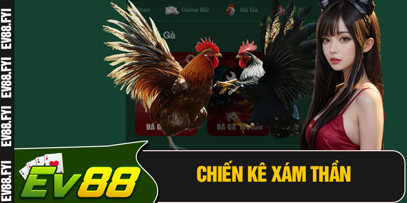 Chiến Kê Xám Thần
