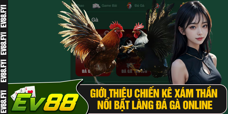 Giới Thiệu Chiến Kê Xám Thần Nổi Bật Làng Đá Gà Online