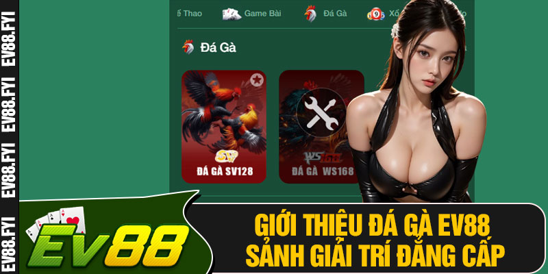 Giới Thiệu Đá Gà EV88 Sảnh Giải Trí Đẳng Cấp
