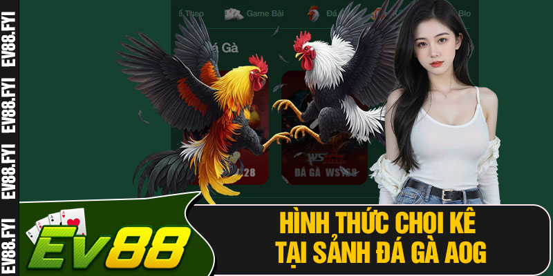 Hình Thức Chọi Kê Tại Sảnh Đá Gà AOG