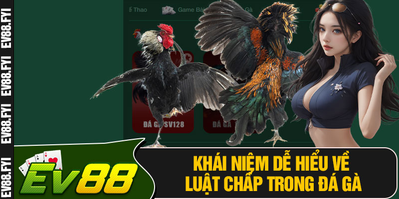 Khái Niệm Dễ Hiểu Về Luật Chấp Trong Đá Gà