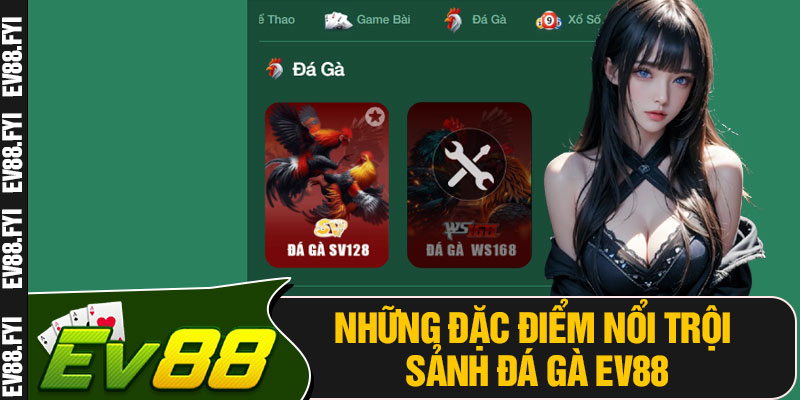 Những Đặc Điểm Nổi Trội Sảnh Đá Gà EV88