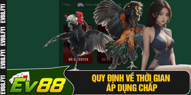 Quy Định Về Thời Gian Áp Dụng Chấp