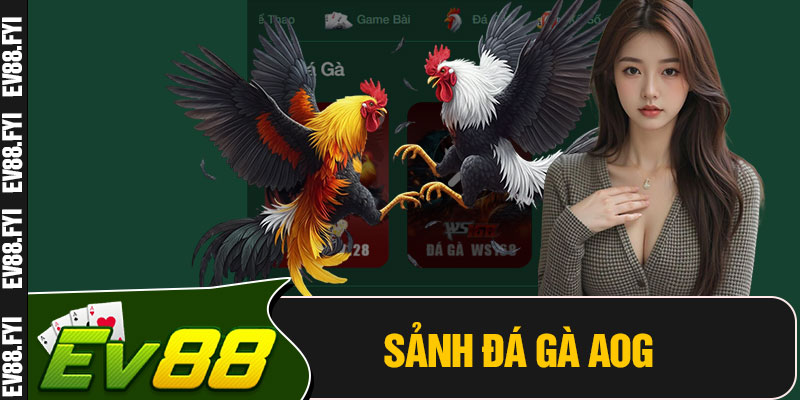 Sảnh Đá Gà AOG